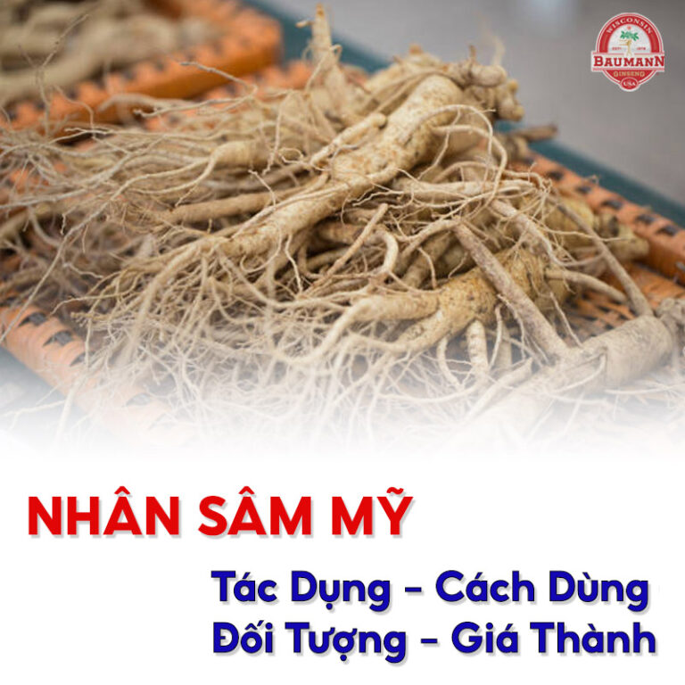 Tìm hiểu các thông tin về nhân sâm Mỹ (sâm Hoa Kỳ)