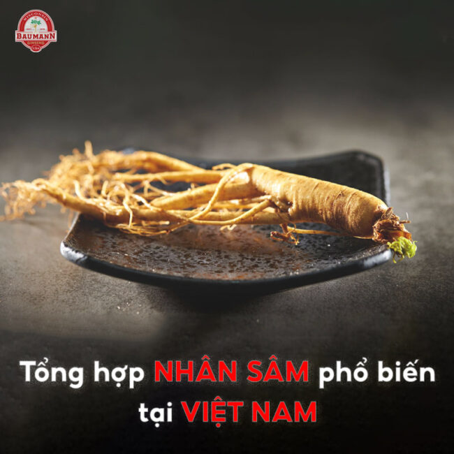 Tổng hợp nhân sâm phổ biến tại Việt Nam